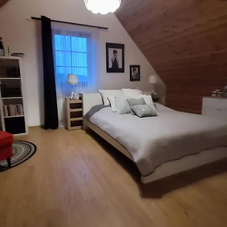 Apartament Dworek Kaszubski *